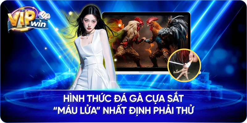 Hình Thức Đá Gà Cựa Sắt “Máu Lửa” Nhất Định Phải Thử