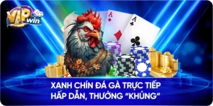 Xanh Chín Đá Gà Trực Tiếp Hấp Dẫn, Thưởng “Khủng”